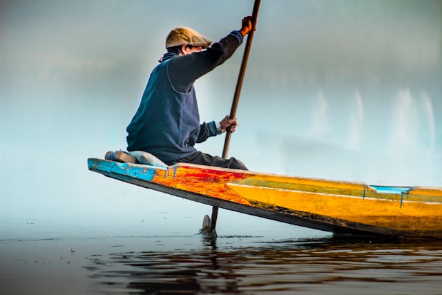 Panlenmera benefícios